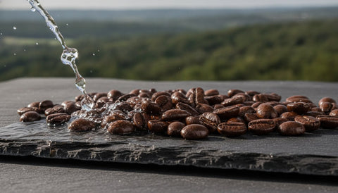 Decaf Swiss Water Process Coffee: The Ultimate Guide to Flavor Without Chemicals